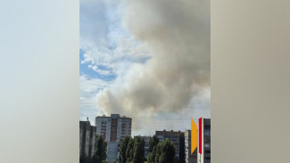Воронежцы днем 2 сентября сообщили о столбе черного дыма в СНТ «Железнодорожник»