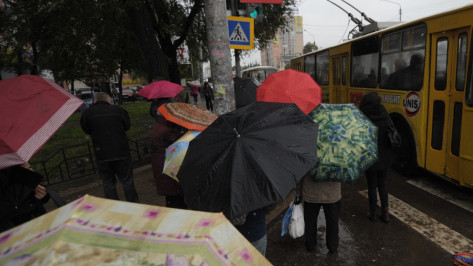 Дожди в Воронеже закончатся в середине недели