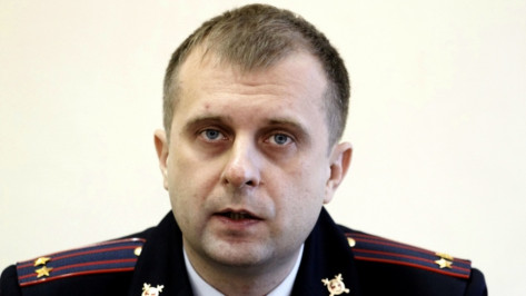 Начальник ГИБДД попросил воронежцев сообщать в полицию об уличных волонтерах