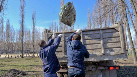 Воронежские власти организуют раздельный сбор мусора на субботнике 8 апреля