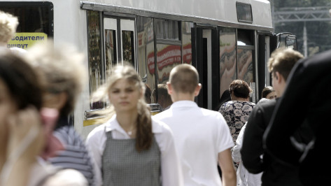 Плата за проезд в Воронежской области останется прежней