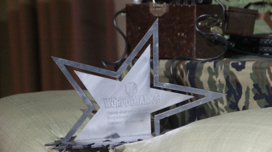 Более 500 воронежцев сразились в открытом турнире World of Tanks