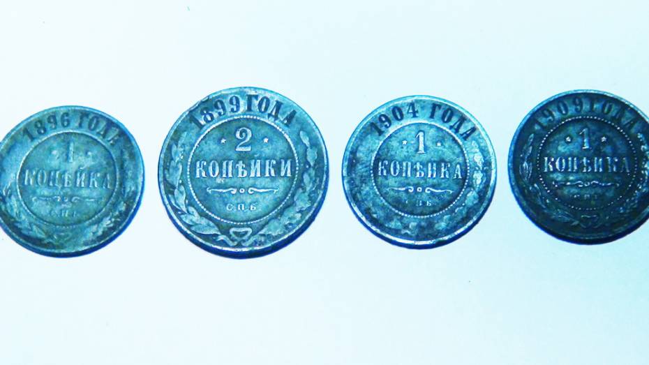 Таловский краевед нашел 4 дореволюционные монеты на территории природного заповедника