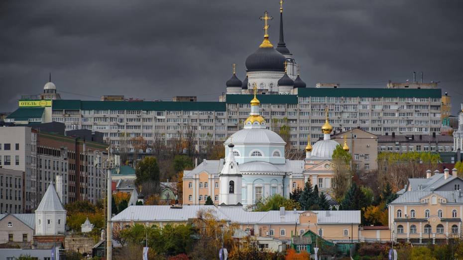Более половины месячной нормы осадков выпало в Воронеже за сутки