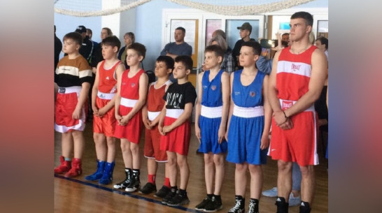 Калачеевские боксеры выиграли 6 золотых медалей на областном турнире «Пересвет»
