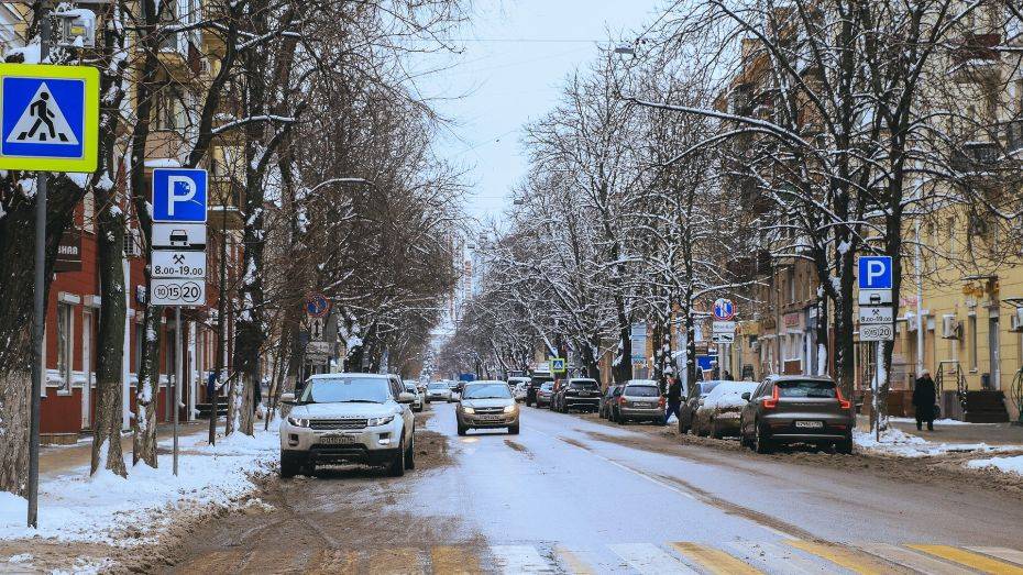 Рабочая неделя в Воронежской области начнется с потепления до +3 градусов