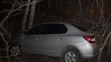 В Воронеже автомобиль съехал в кювет и врезался в дерево: пострадали 5 человек