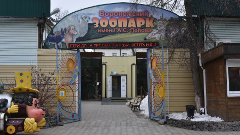 Воронежский зоопарк новости