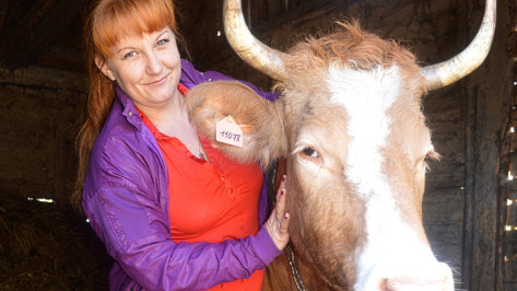 Жительница Репьевского района получила в подарок от соцзащиты корову