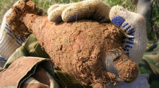 В Каширском районе задержали мужчину, хранившего часть мины