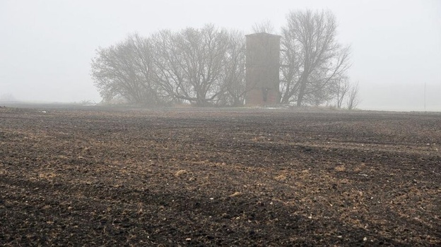 В Воронежской области объявили желтый уровень погодной опасности из-за тумана