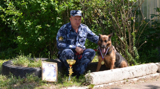 В Семилуках наградили лучшего кинолога