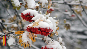 Мокрый снег и дождь ожидают воронежцев в выходные