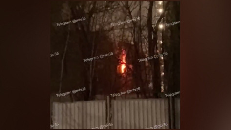 В Воронеже ночью загорелся дом в переулке Славы