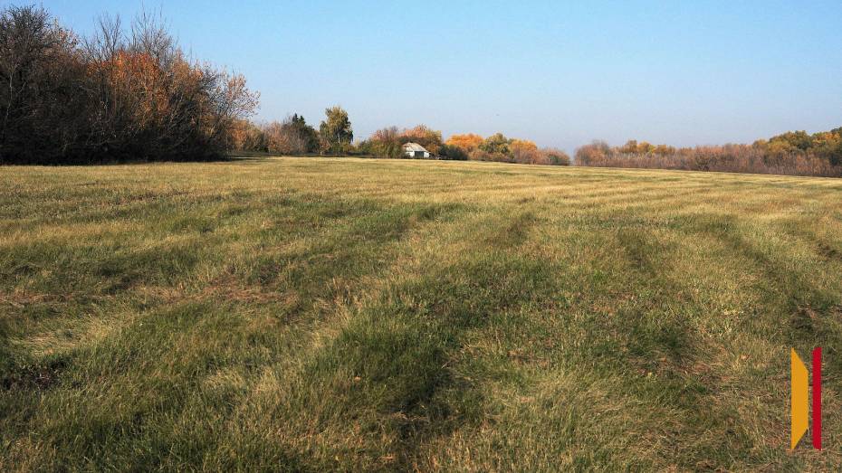 В Воронежской области ускорили инвентаризацию земельных участков