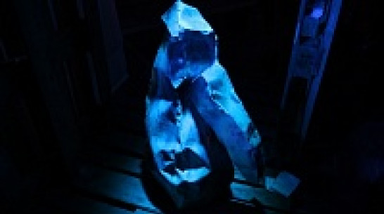 Выставку современного искусства в Доме правительства закроют концертом кислотной музыки