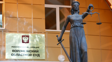 В Воронежском облсуде подтвердили информацию об отставке руководителей с 23 мая