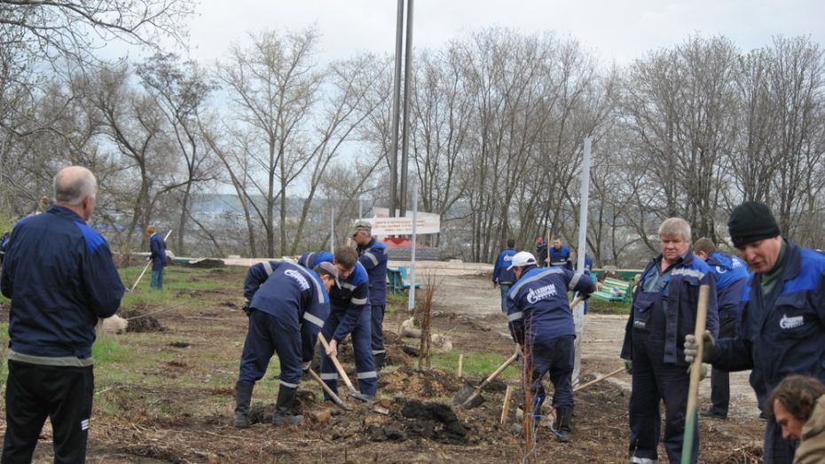 В Семилукском районе ликвидировали 40 свалок