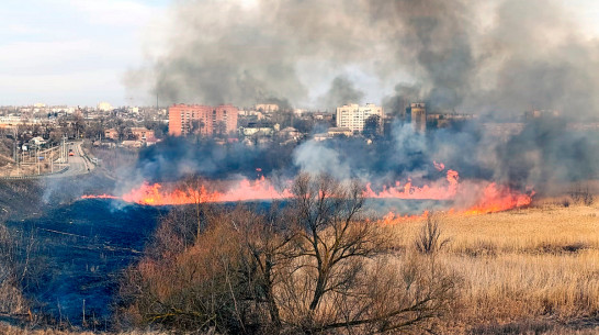Под Воронежем выжгли 23 га сухой травы под контролем пожарных