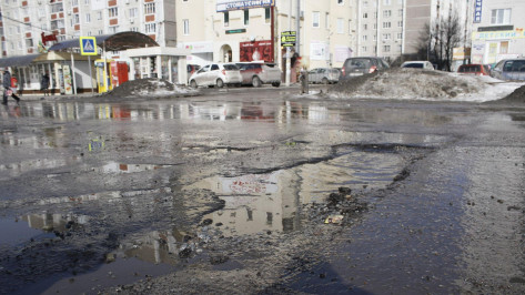 Февральская погода в Воронеже побила 65-летний рекорд 
