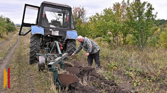 Бутурлиновские лесоводы обновили защитные полосы в Шиповой дубраве