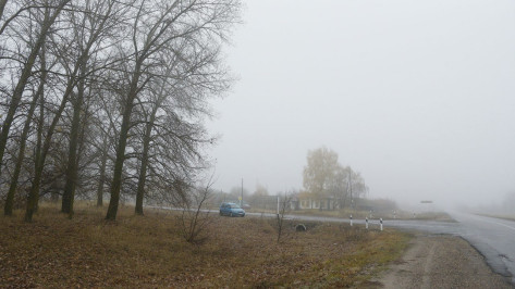 Туман ожидают в Воронежской области