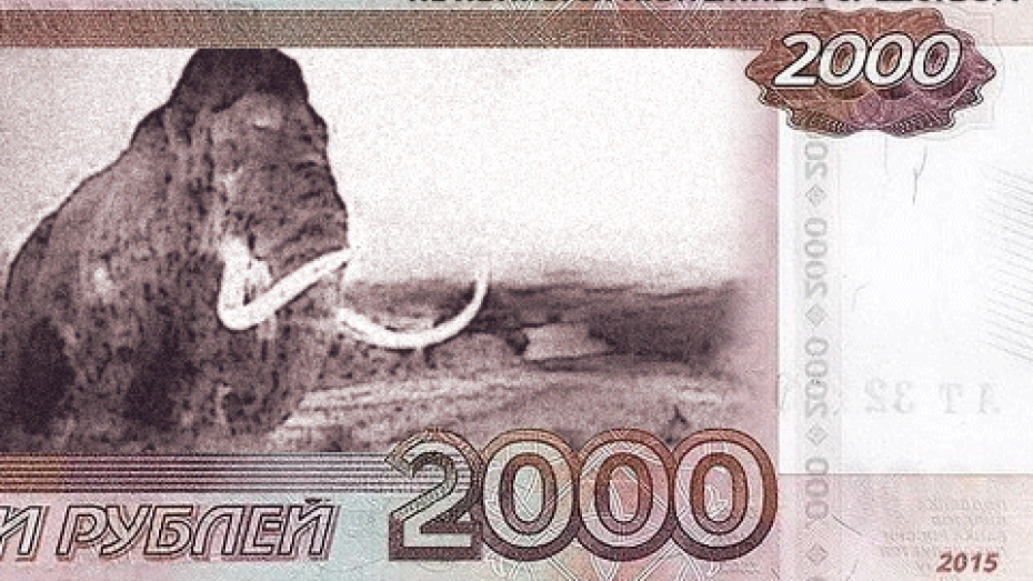Центробанк призвал воронежцев продвинуть второй символ для новых банкнот
