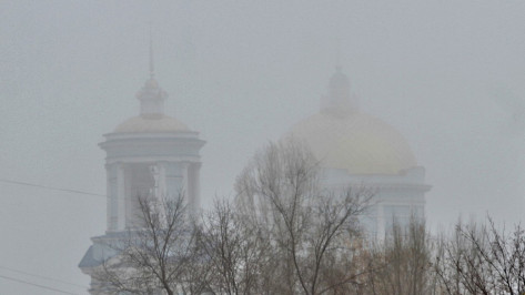 Гололед и туман прогнозируют в Воронежской области
