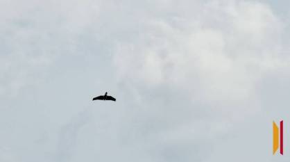 В небе над Воронежской областью поздним вечером 11 марта и в ночь на 12 марта уничтожили 3 БПЛА