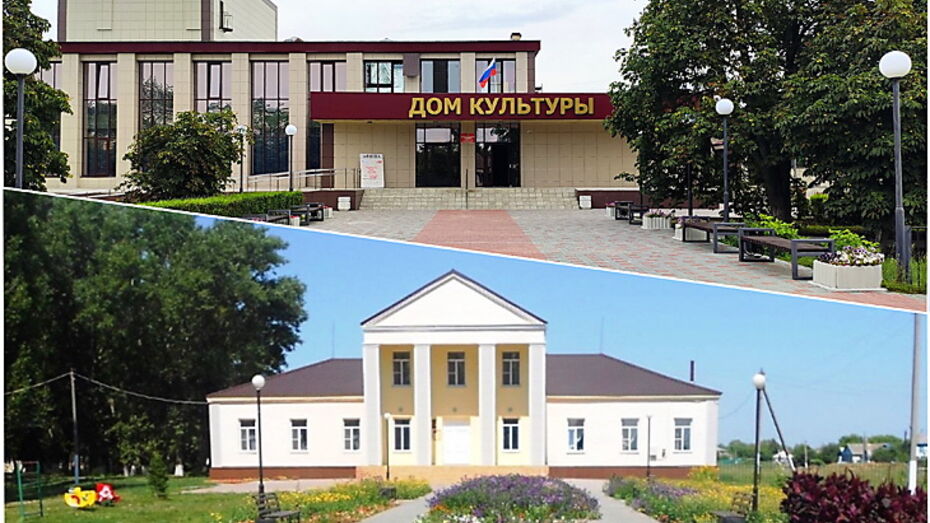 Еще двум учреждениям культуры присвоили статус модельных в Воронежской области