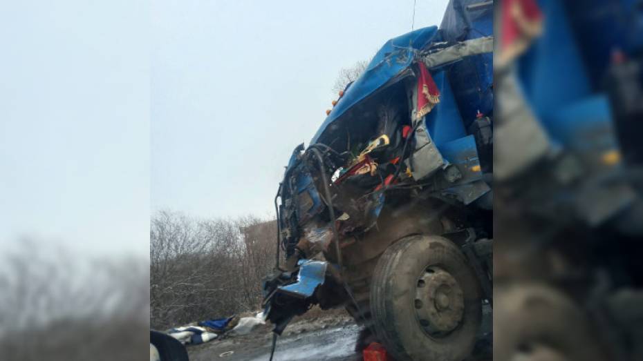 Водителя КамАЗа госпитализировали после ДТП с другим грузовиком в Воронежской области