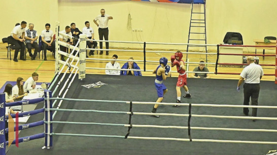 В Воронежской области начались всероссийские соревнования по боксу памяти Героя России Романа Филипова