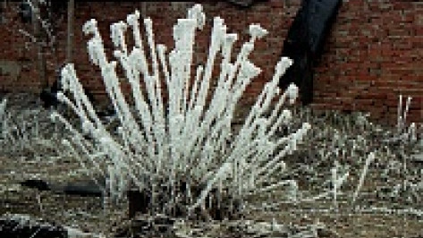 В Воронеже в парке Авиастроителей замерз мужчина 