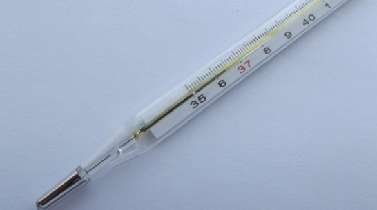 За первую рабочую неделю заболеваемость ОРВИ в Воронежской области увеличилась в 2 раза