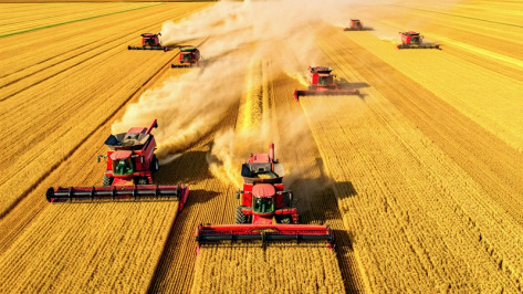 Воронежские аграрии собрали первый миллион тонн зерна