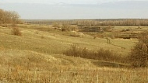 В Таловском районе прошедший июль стал самым засушливым за последние 120 лет