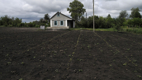 Аренда дачи в Воронежской области подешевела на 6,8%