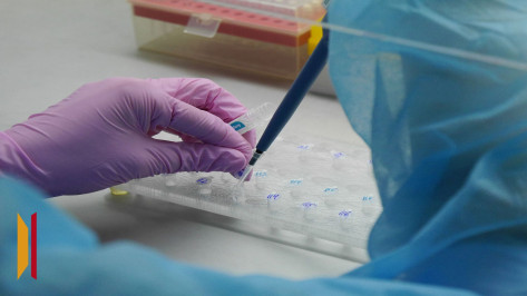 В Ольховатском районе Воронежской области ввели карантин по бешенству животных