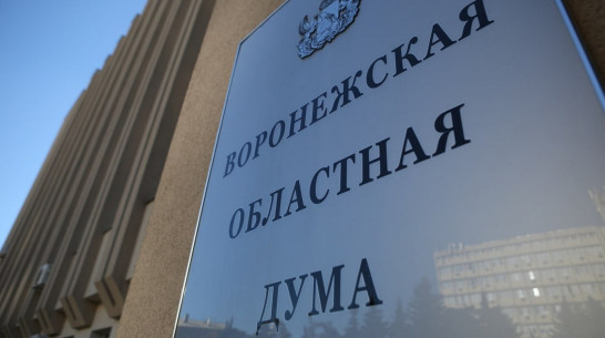 Правительство Воронежской области внесло на рассмотрение в облдуму проект бюджета на 2026–2028 годы