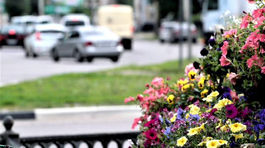 В Воронеже потеплеет к концу рабочей недели