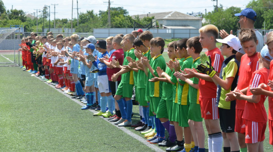 Юношеский футбольный турнир стартовал в Воронежской области после 10-летнего перерыва