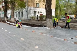Мэрия отчиталась о благоустройстве газонов и тротуаров в трех районах Воронежа