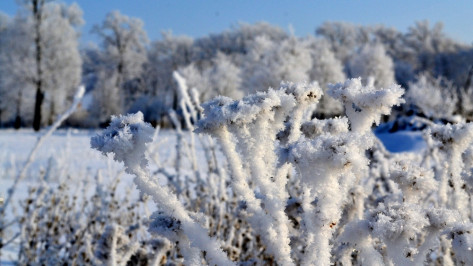 В Грибановском районе в ночь на 26 января температура опустилась до -32 градусов