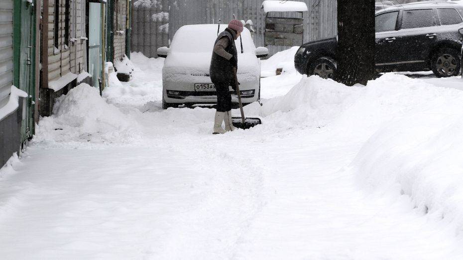 Синоптики рассказали, сколько снега выпало в Воронеже