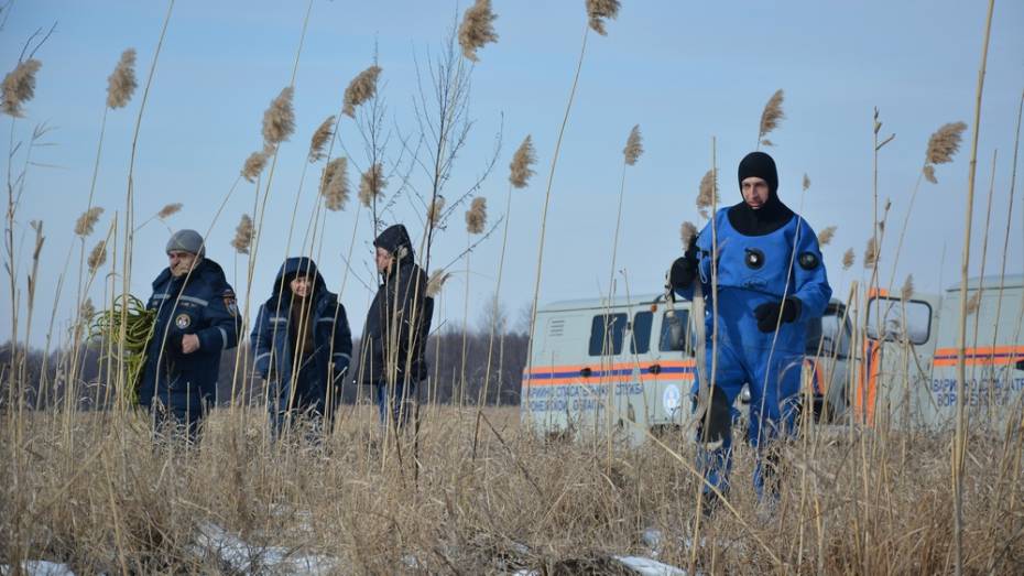 Поиски провалившегося в феврале под лед мальчика возобновили в Воронежской области
