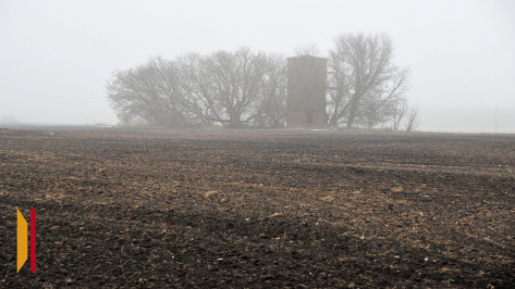 Воронежцев предупредили о тумане ночью и утром 6 ноября