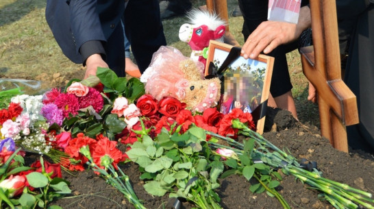 Детский сад под Воронежем назовут «Машенькой» в честь жертвы перлевского убийцы