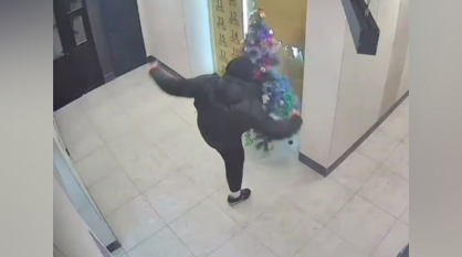 В Воронеже парень ногой снес елку в подъезде