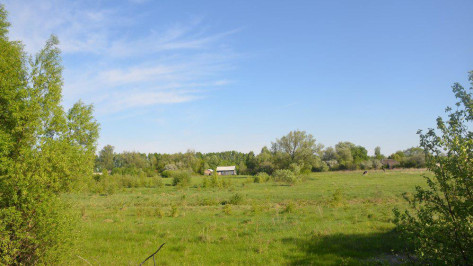 Сельчане озвучили подробности ЧП с утонувшим 8-летним воронежским мальчиком