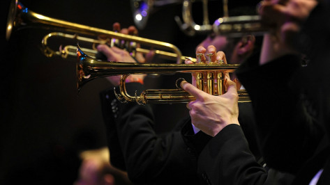 Музыканты «Джазовой провинции» сыграют для гостей воронежского фестиваля «Зодчество VRN»